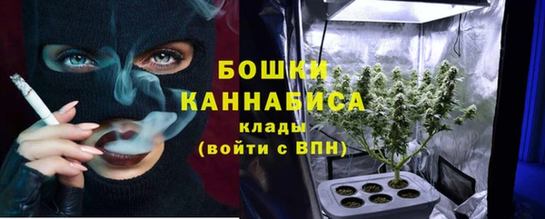 бошки Коряжма