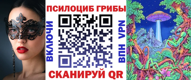 Купить где  Тобольск  Псилоцибиновые грибы MAGIC MUSHROOMS 